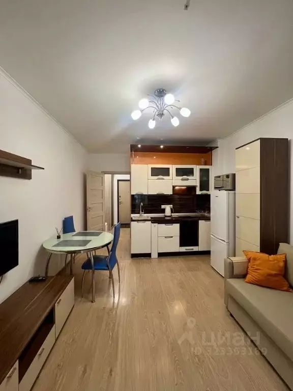 Студия Санкт-Петербург просп. Ветеранов, 169к3 (23.7 м) - Фото 0