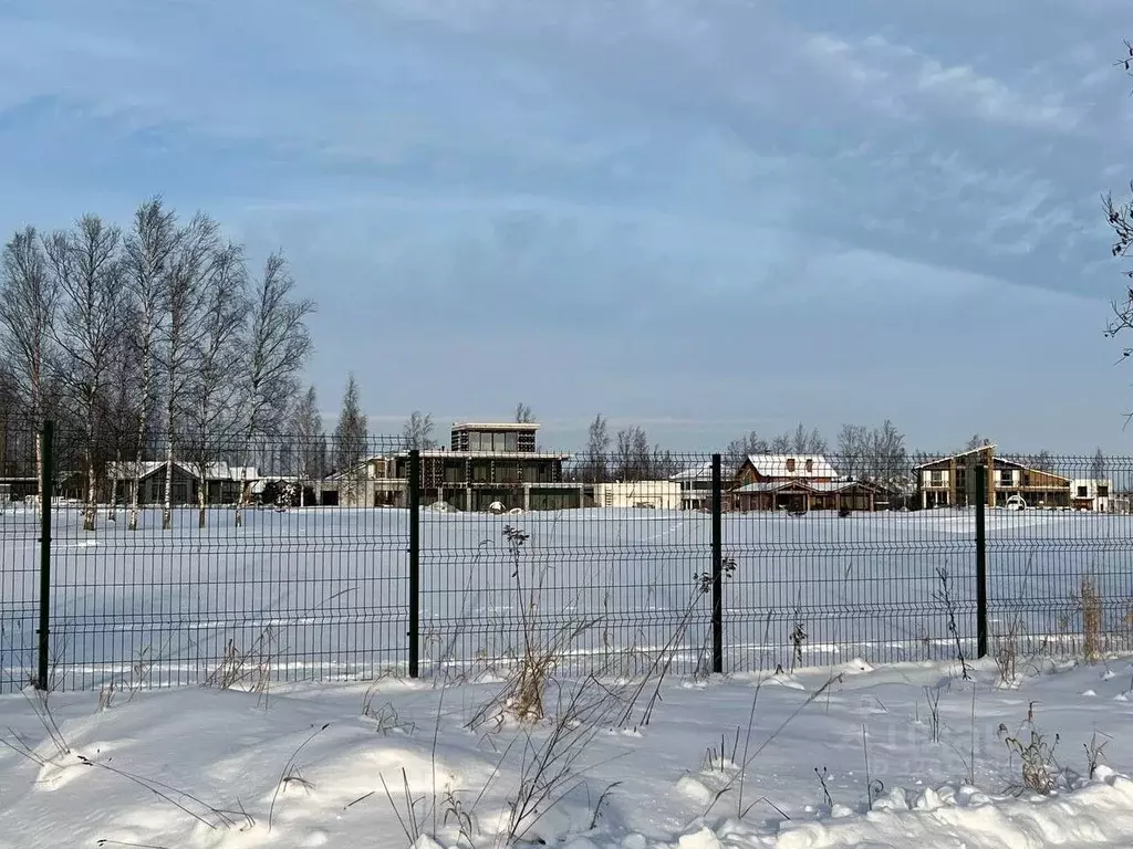 Участок в Ленинградская область, Ломоносовский район, Пениковское ... - Фото 1