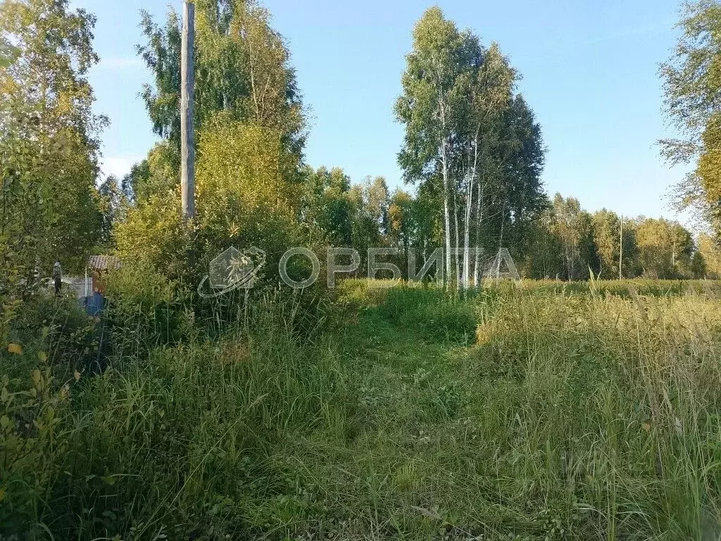 Участок в Тюменская область, Нижнетавдинский муниципальный округ, ... - Фото 2