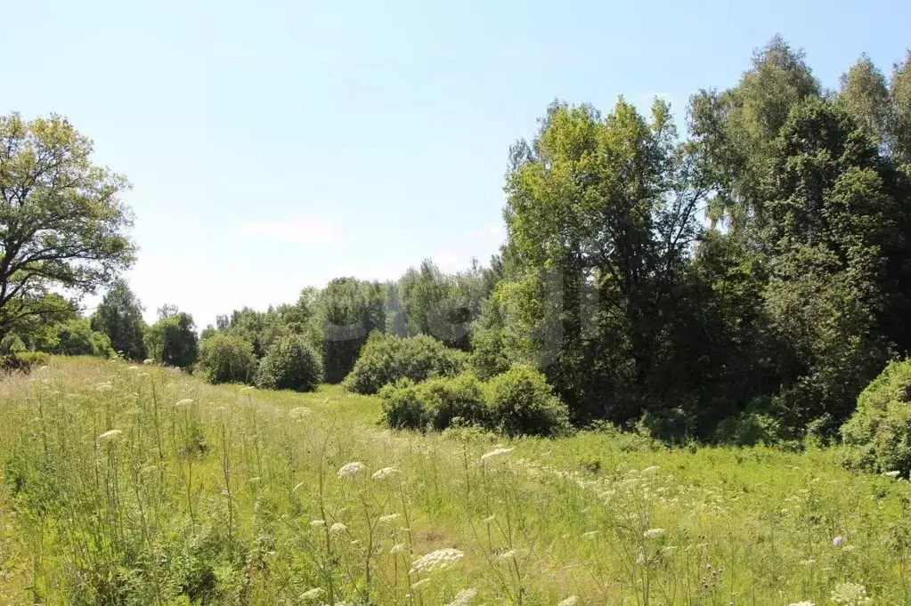 Участок в Московская область, Богородский городской округ, Вечерняя ... - Фото 1