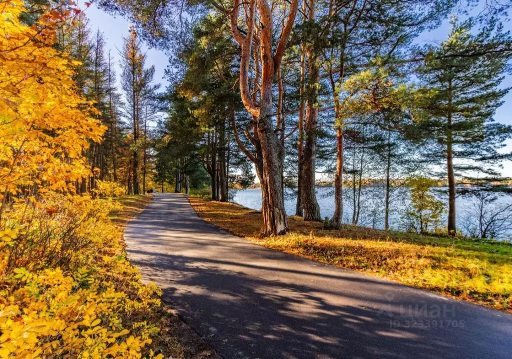 3-к кв. Санкт-Петербург, Санкт-Петербург, Сестрорецк Рыбацкая ул., 11 ... - Фото 1