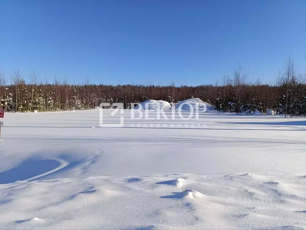 Участок в Костромская область, Костромской район, Бакшеевское с/пос, ... - Фото 1
