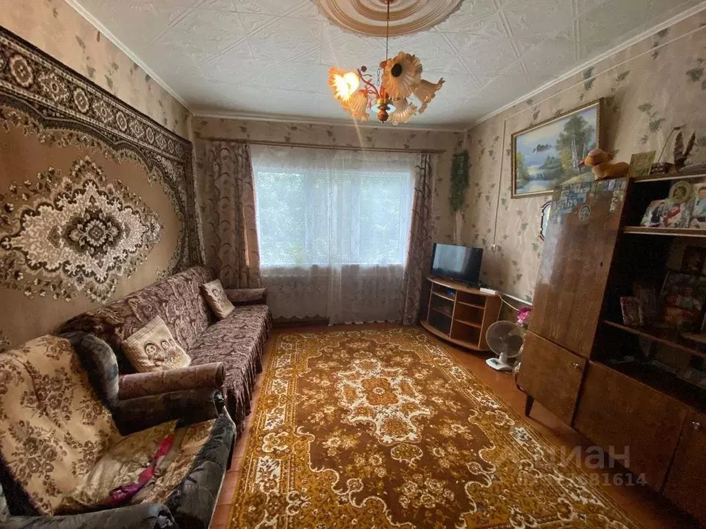 Дом в Оренбургская область, Оренбург с. Краснохолм, ул. Панова, 23 (50 ... - Фото 2