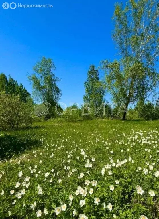 Участок в Исетский район, деревня Решетникова (7 м) - Фото 1