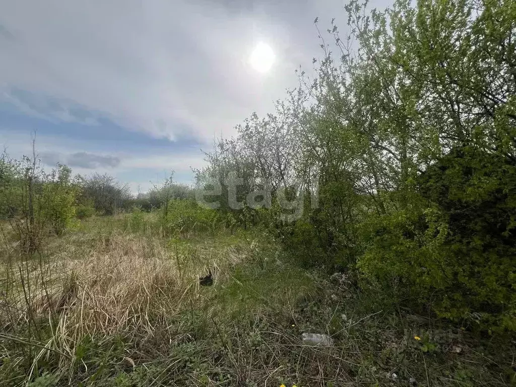 Участок в Белгородская область, Белгород Незабудка садовое ... - Фото 2