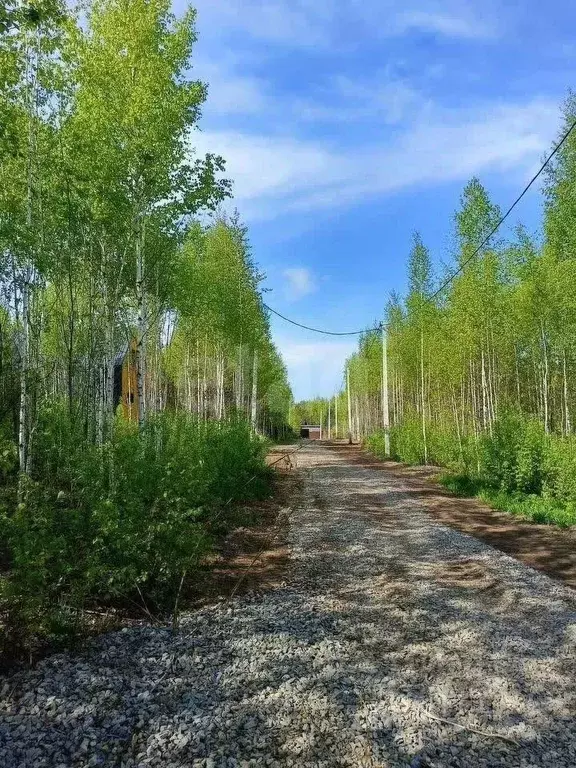 Дом в Кемеровская область, Кемерово ул. Заповедная (50 м) - Фото 1
