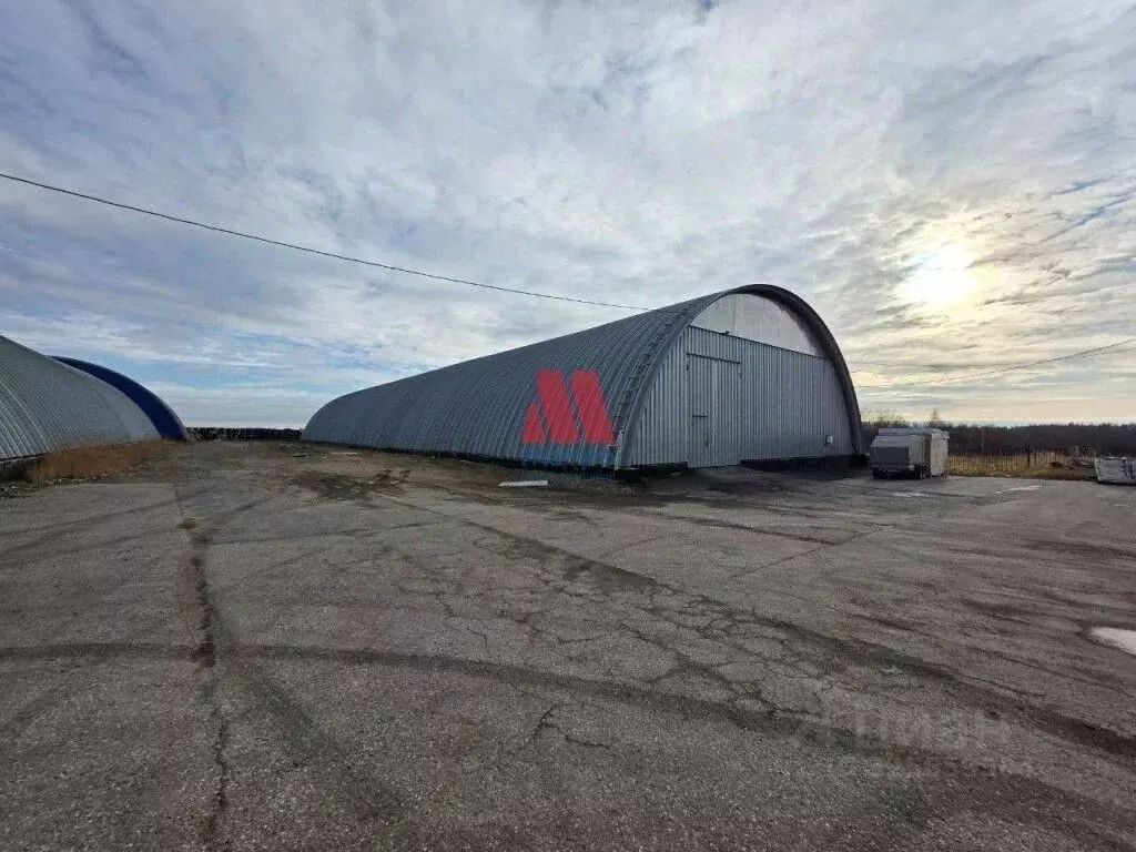 Склад в Ярославская область, Ярославский муниципальный округ, д. ... - Фото 1