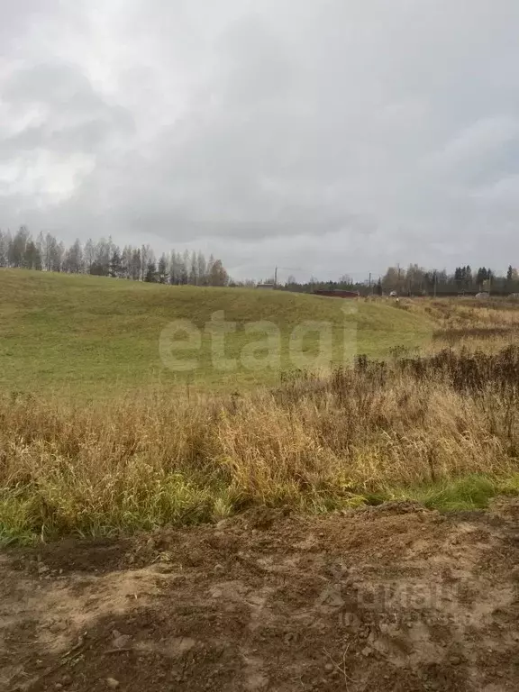 Участок в Ленинградская область, Тосненский район, Шапкинское с/пос, ... - Фото 2
