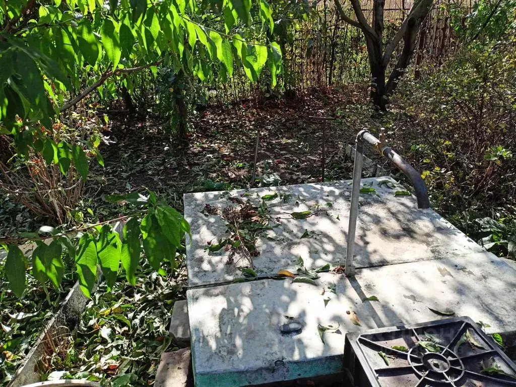 Участок в Астраханская область, Приволжский район, Надежда садовое ... - Фото 2