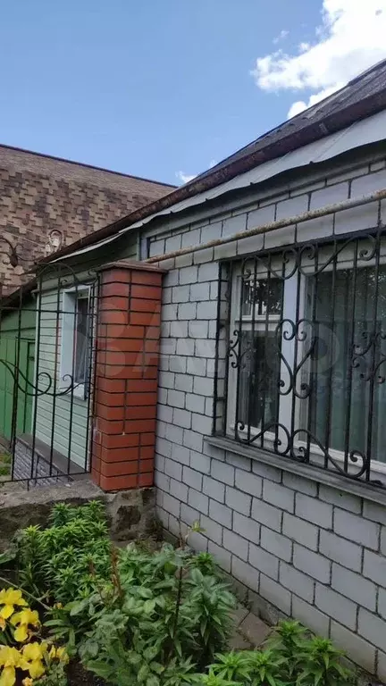 Дом 54 м на участке 1 сот. - Фото 1
