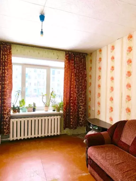 Комната Иркутская область, Братск ул. Макаренко, 24 (23.4 м) - Фото 1