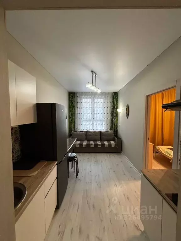 1-к кв. Санкт-Петербург пос. Шушары, просп. Старорусский, 3к2 (29.3 м) - Фото 1