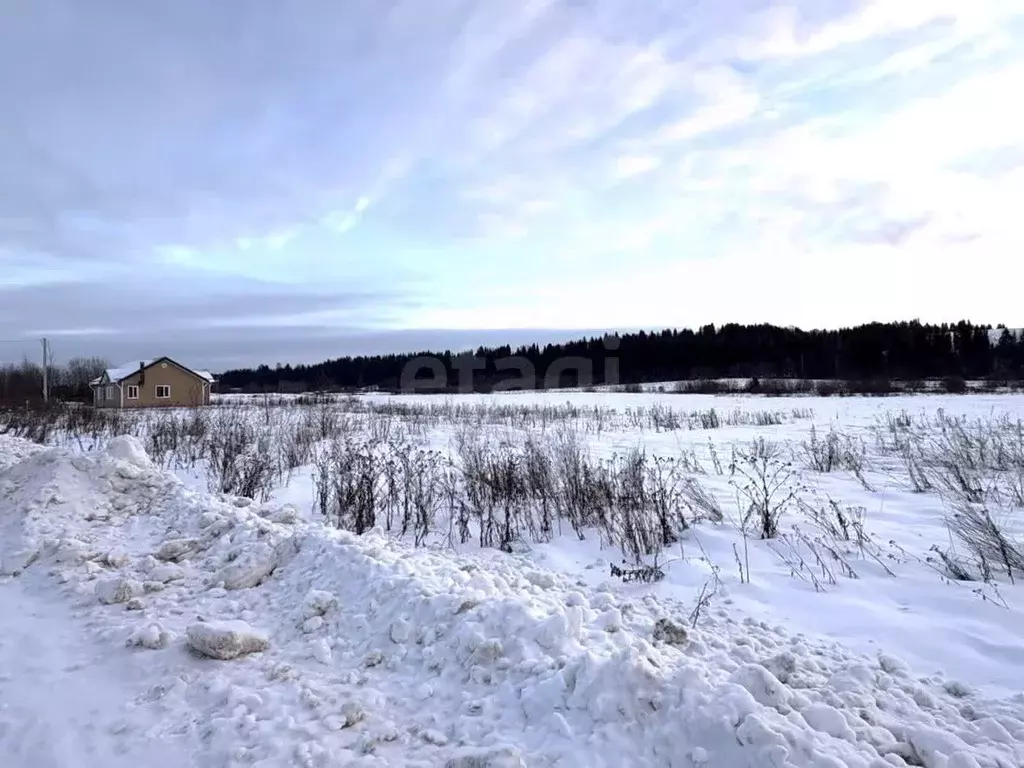 Участок в Вологодская область, Великоустюгский муниципальный округ, д. ... - Фото 1