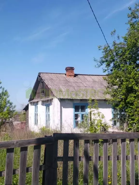 Дом 33 м на участке 11,1 сот. - Фото 1