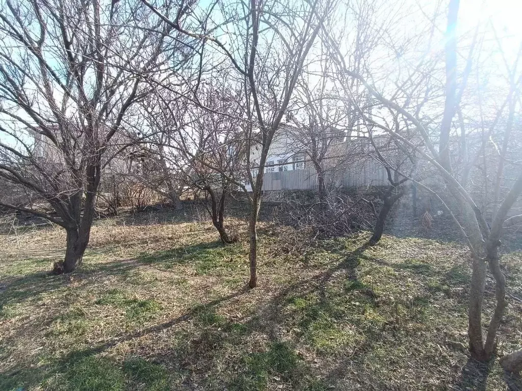 Участок в Краснодарский край, Анапа муниципальный округ, с. Супсех ул. ... - Фото 1