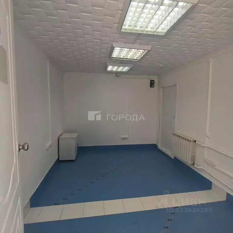 Помещение свободного назначения в Новосибирская область, Новосибирск ... - Фото 2