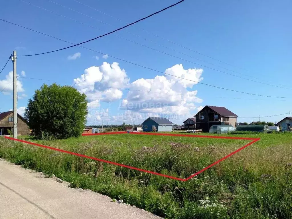 Участок в Новгородская область, Шимское городское поселение, д. Бор ... - Фото 2