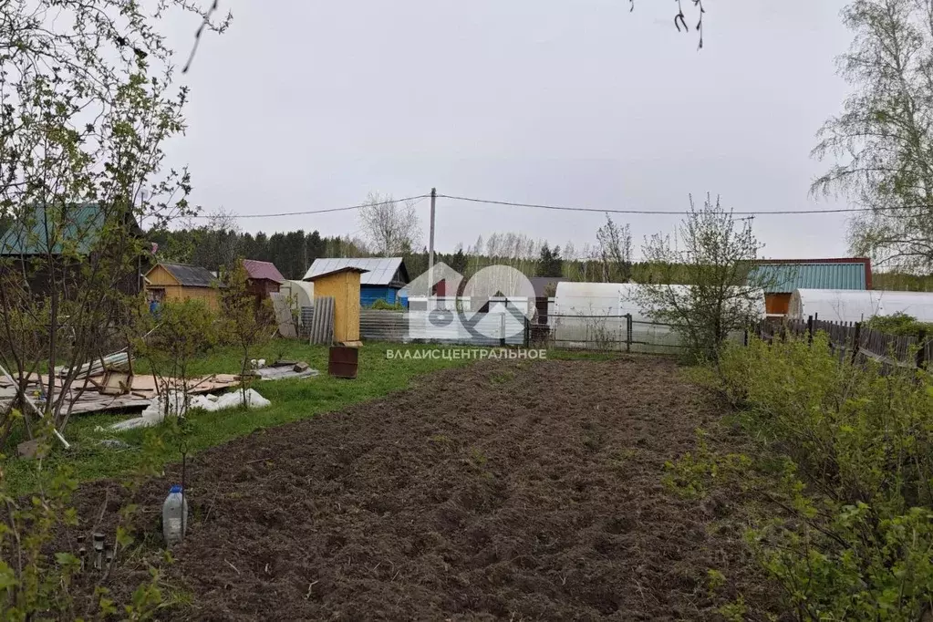 Участок в Новосибирская область, Новосибирск Любитель СНТ, проезд 4-й ... - Фото 0