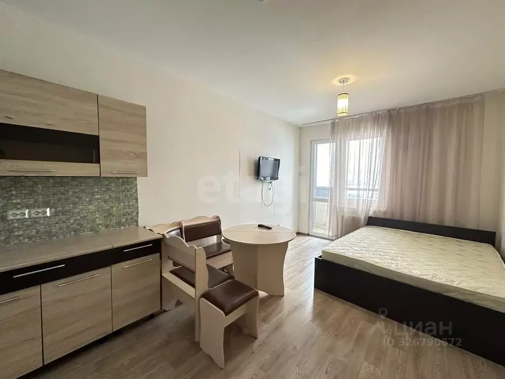 Студия Санкт-Петербург просп. Васнецовский, 20 (32.0 м) - Фото 1