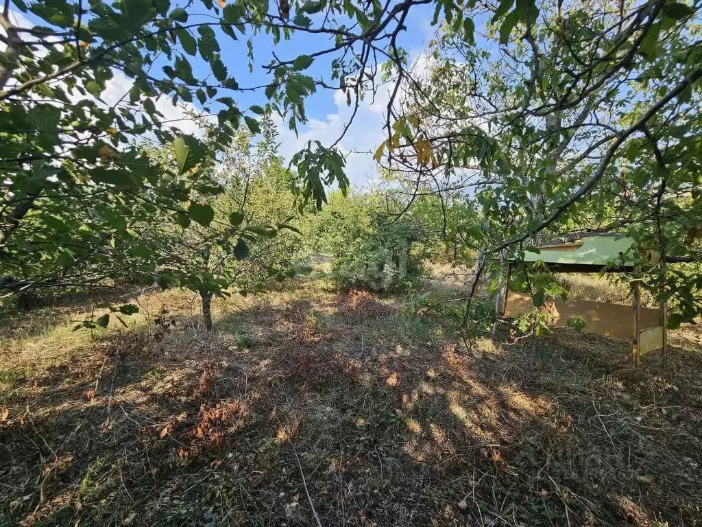 Участок в Краснодарский край, Новороссийск пер. Дачный (8.0 сот.) - Фото 0