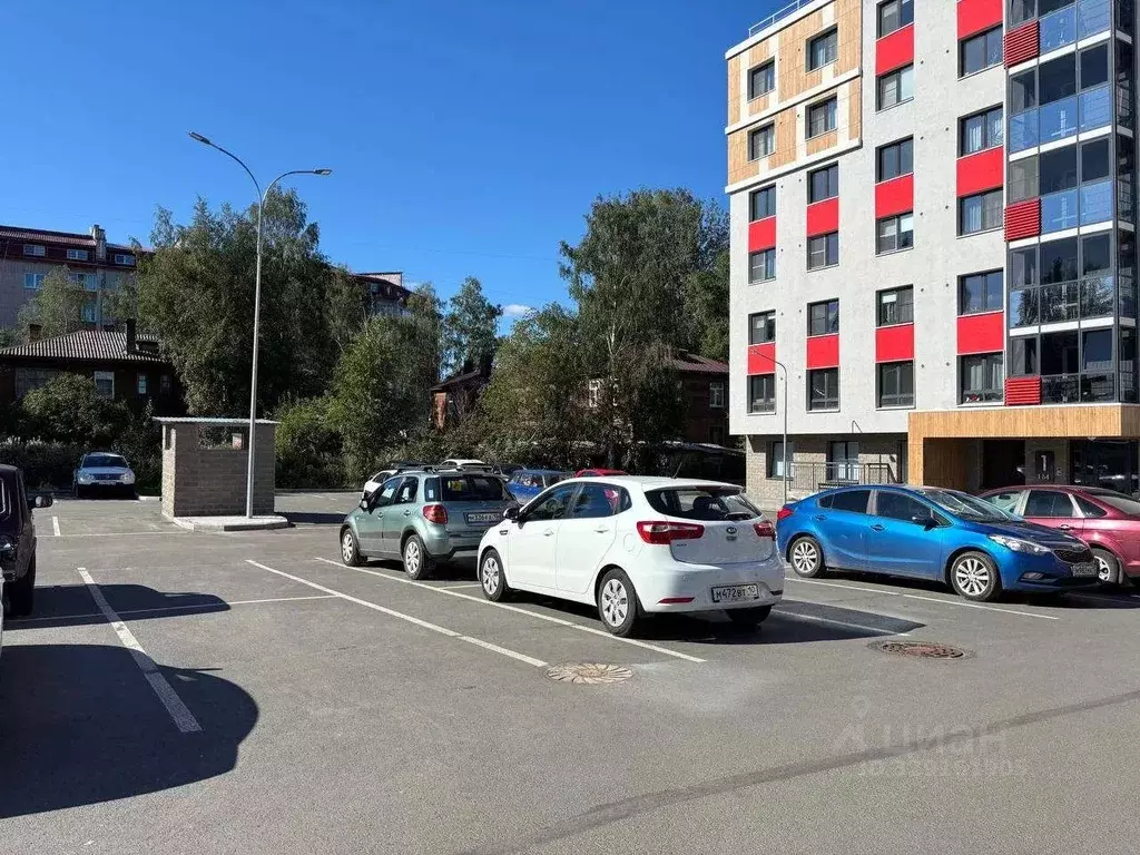 Студия Карелия, Петрозаводск Пробная ул., 15 (26.3 м) - Фото 2