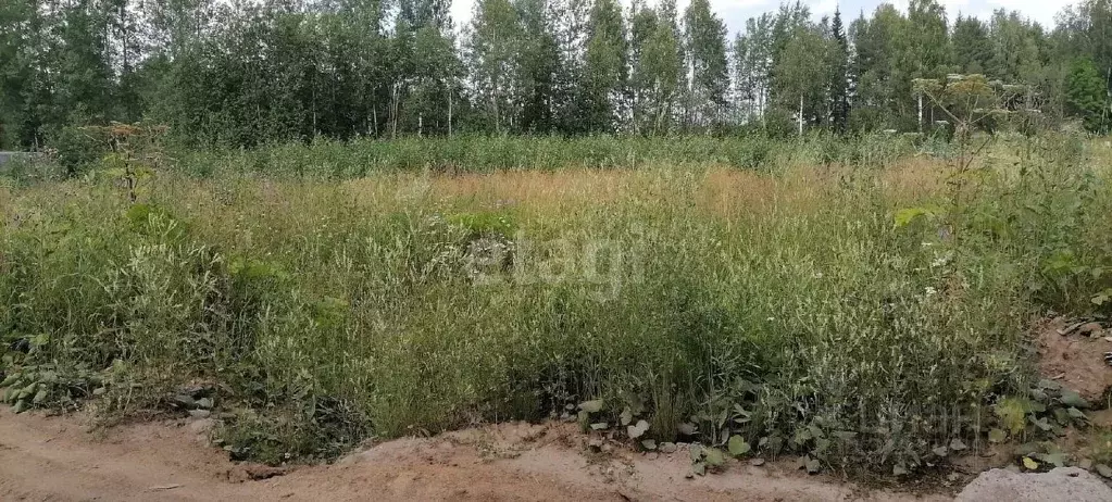 Участок в Коми, Сыктывдинский район, Выльгорт муниципальное ... - Фото 1