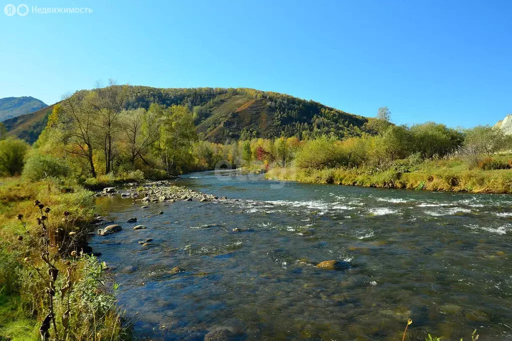 Участок в Солонешенский район, село Солонешное (389.6 м) - Фото 0