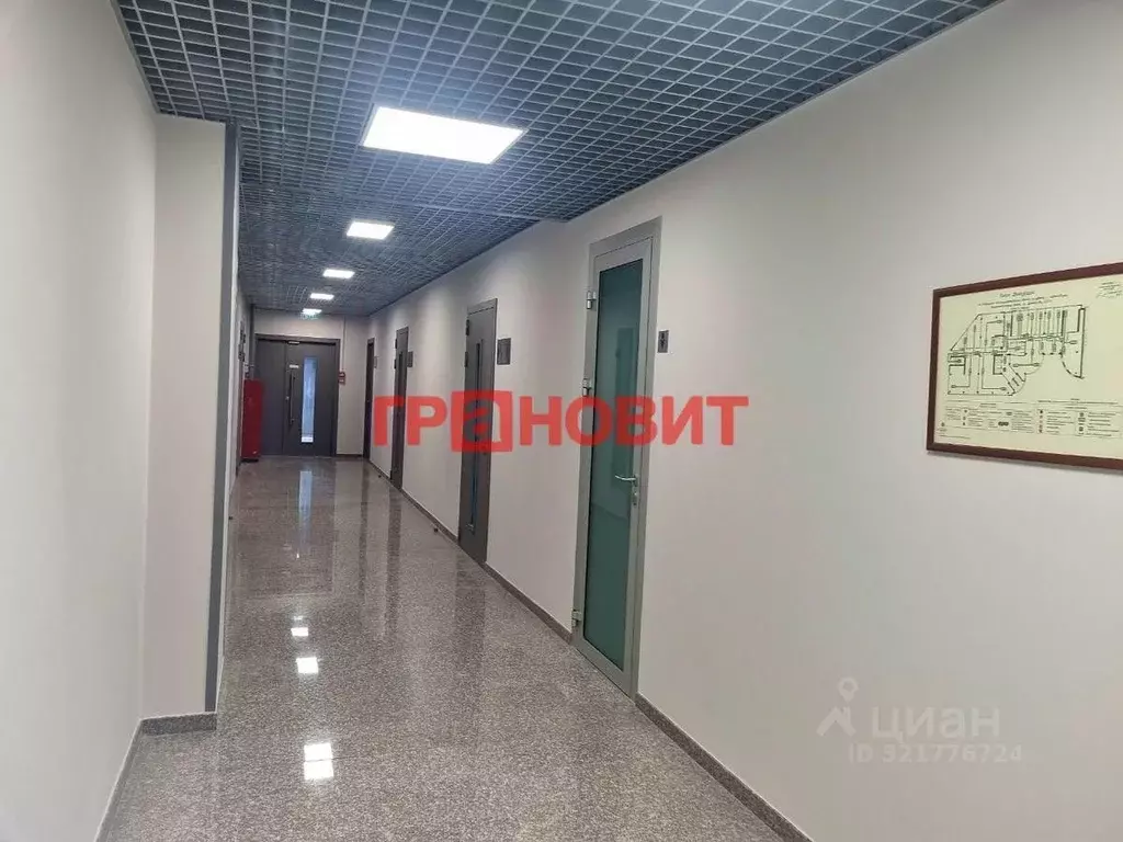 Офис в Новосибирская область, Новосибирск просп. Димитрова, 2 (73 м) - Фото 0