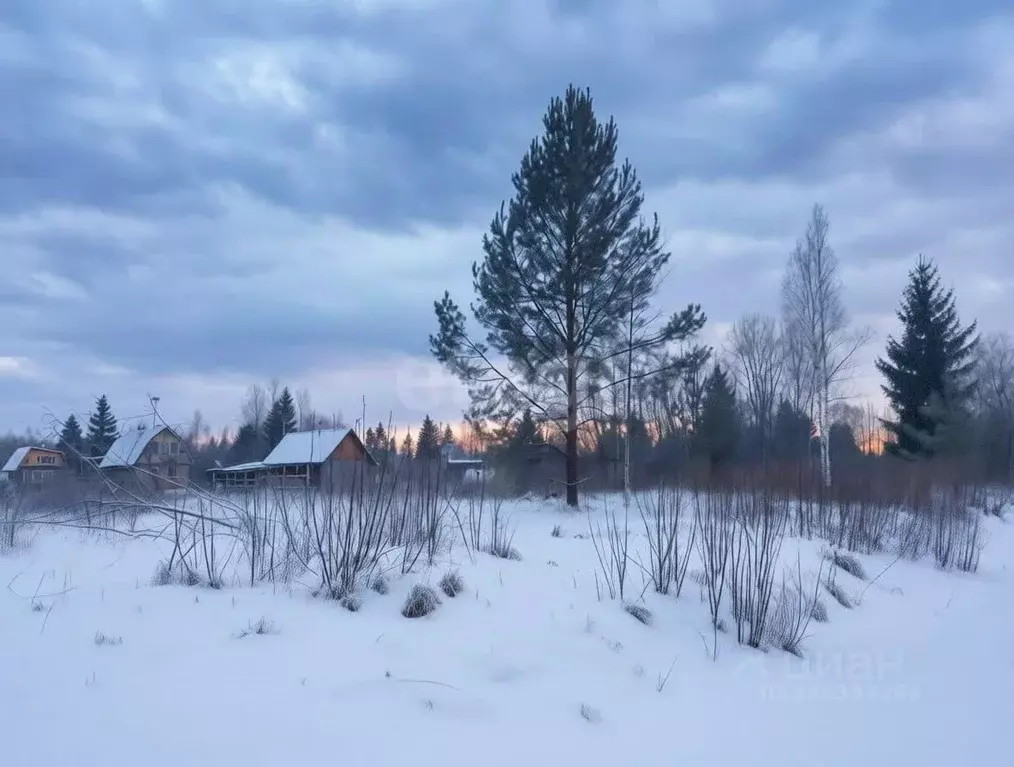 Участок в Ленинградская область, Киришский район, Кусинское с/пос, ... - Фото 1