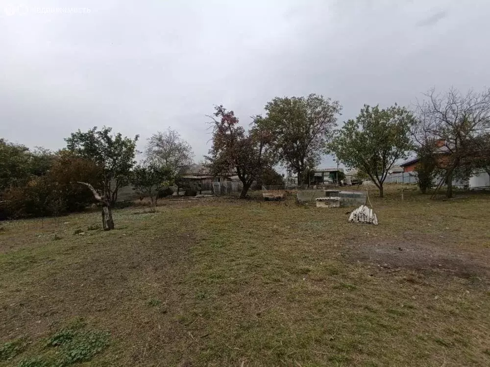 Участок в Садовое, улица Мира, 265 (50 м) - Фото 2