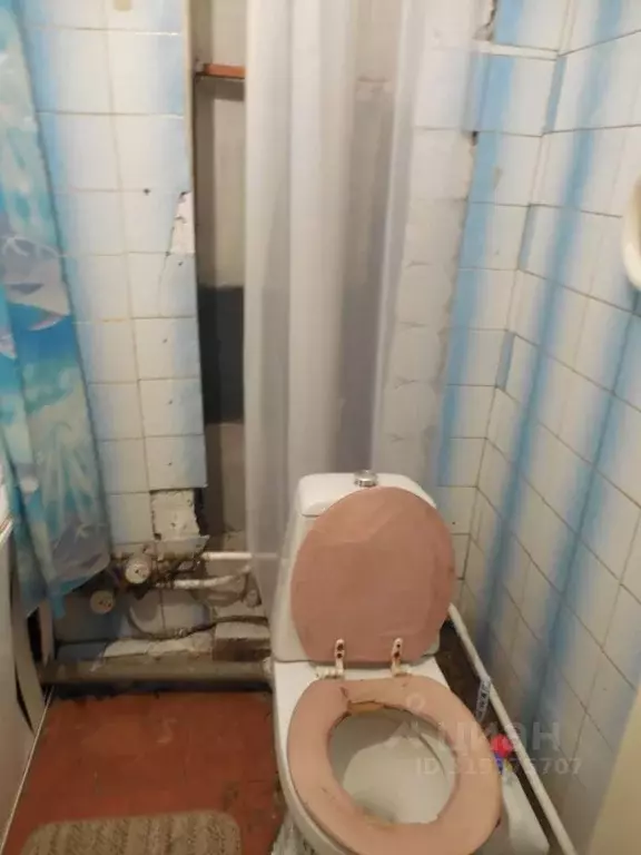 1-к кв. Алтайский край, Барнаул ул. 40 лет Октября, 5А (31.0 м) - Фото 1