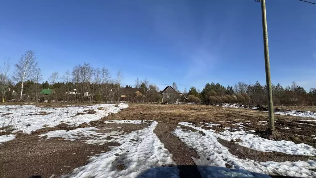 Участок в Ленинградская область, Гатчинский муниципальный округ, д. ... - Фото 2