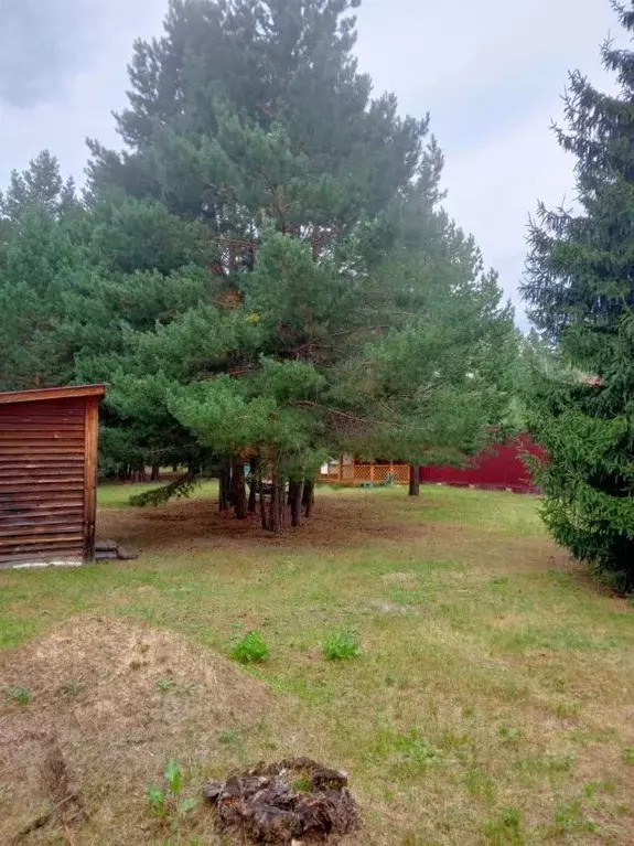 Участок в Курганская область, Кетовский муниципальный округ, д. Лукино ... - Фото 2