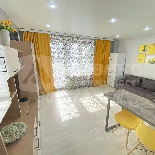 Студия Тюменская область, Тюмень ул. Николая Никитина, 6 (26.5 м) - Фото 2