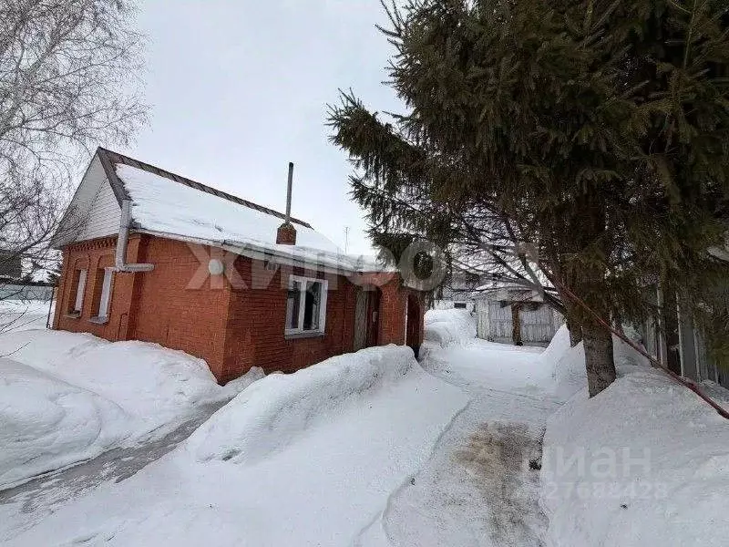 Дом в Новосибирская область, Ордынский район, с. Красный Яр ул. Щорса ... - Фото 2