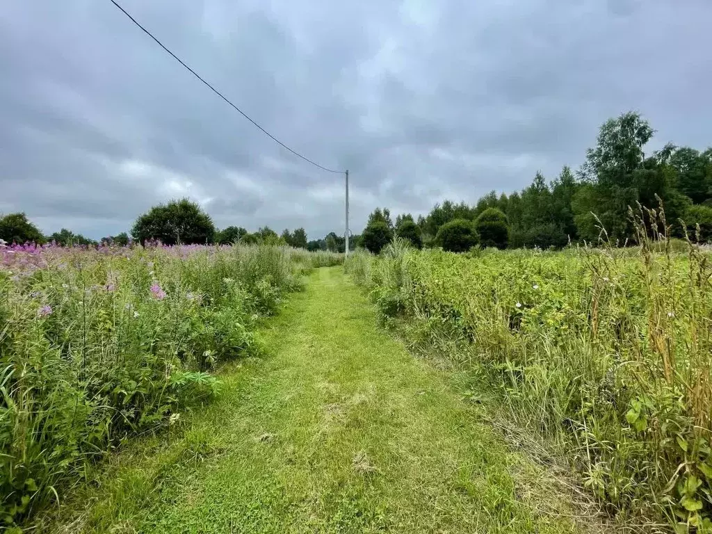 Участок в Смоленская область, Смоленский муниципальный округ, д. ... - Фото 1