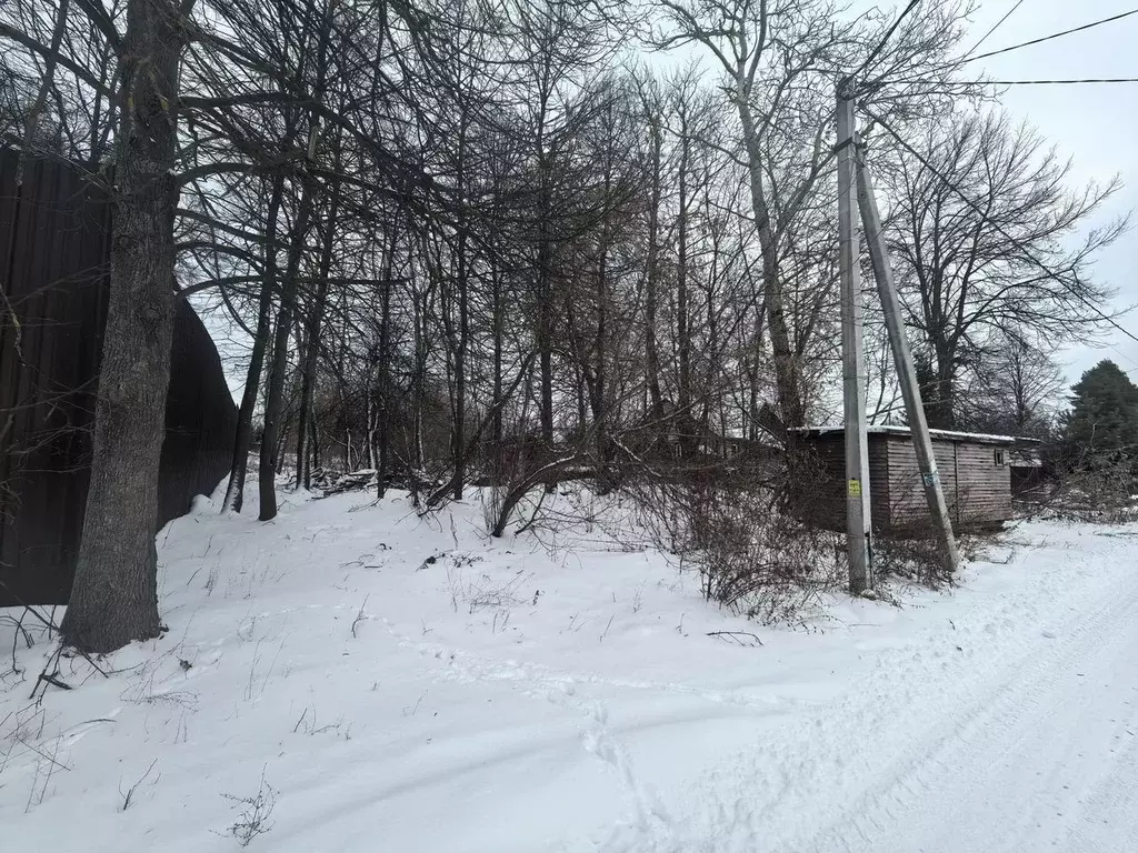 Участок в Московская область, Ступино городской округ, с. Березнецово ... - Фото 1