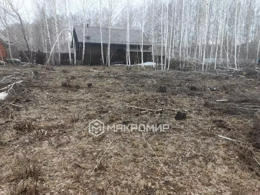 Участок в Новосибирская область, Новосибирский район, Каменский ... - Фото 0