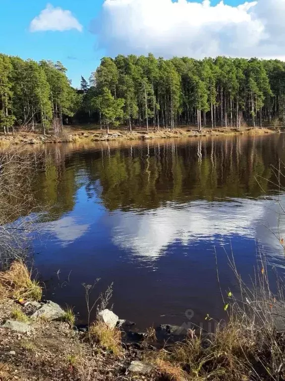 Дом в Свердловская область, Сысертский муниципальный округ, с. Кашино ... - Фото 2