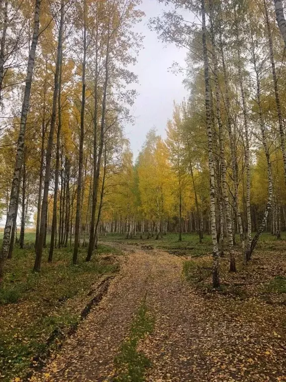 Участок в Тверская область, Конаковский муниципальный округ, д. ... - Фото 2
