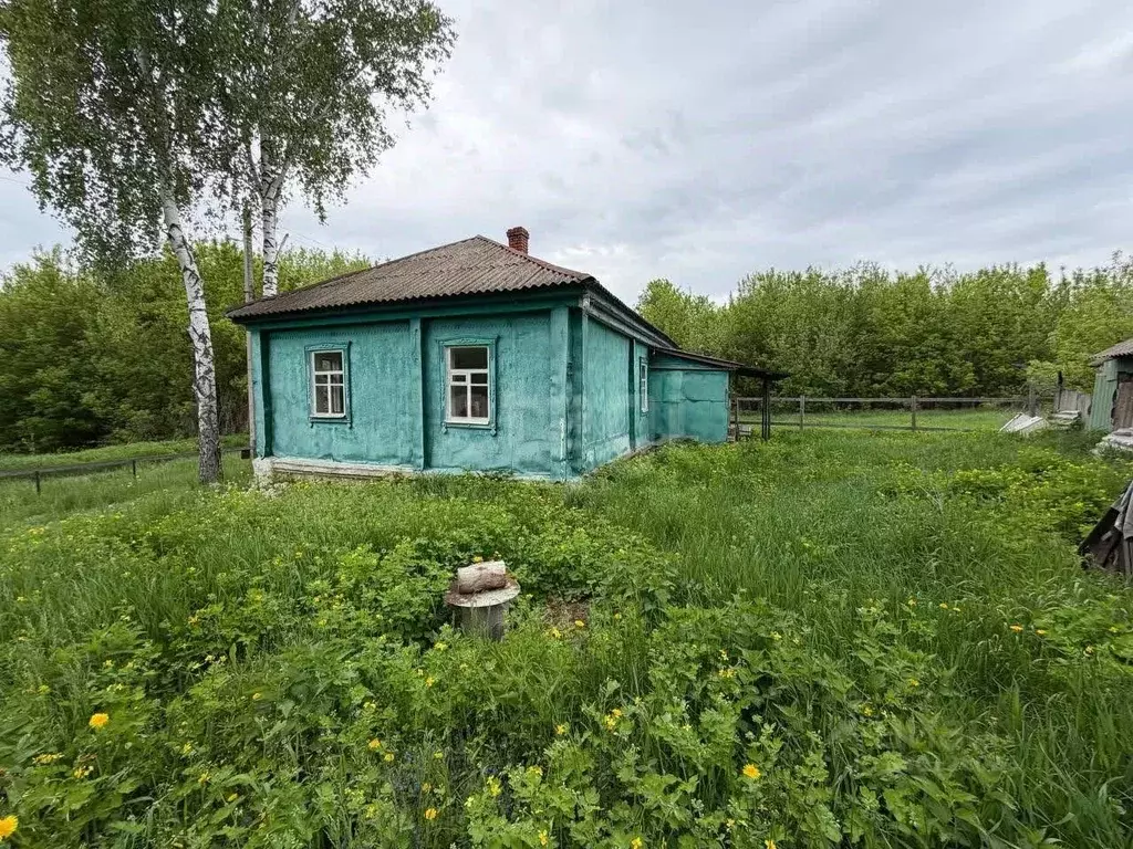 Дом в Воронежская область, Нижнедевицкий район, Вязноватовское с/пос, ... - Фото 1
