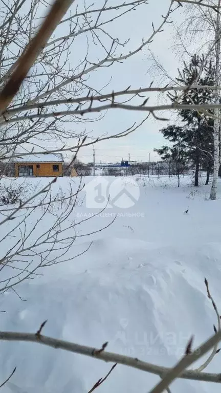 Участок в Новосибирская область, Новосибирский район, Толмачевский ... - Фото 2
