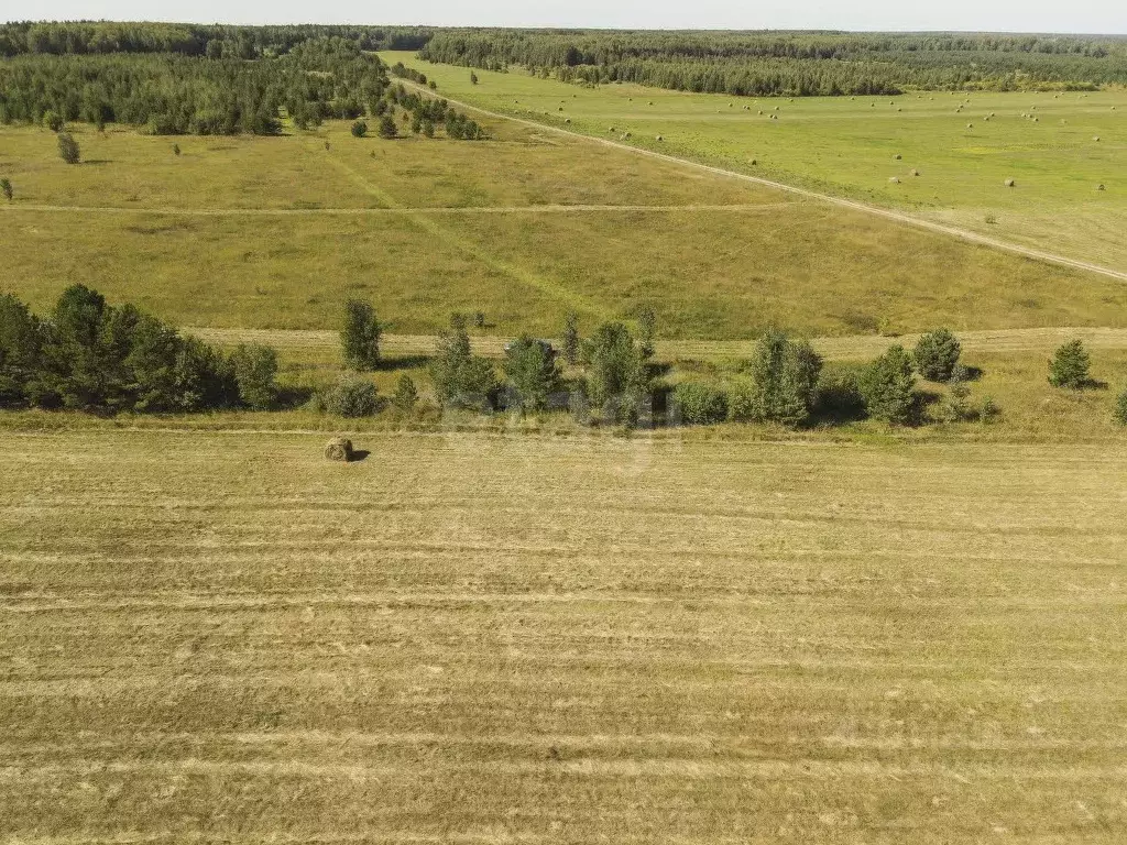 Участок в Тюменская область, Тюменский муниципальный округ, д. Речкина ... - Фото 2