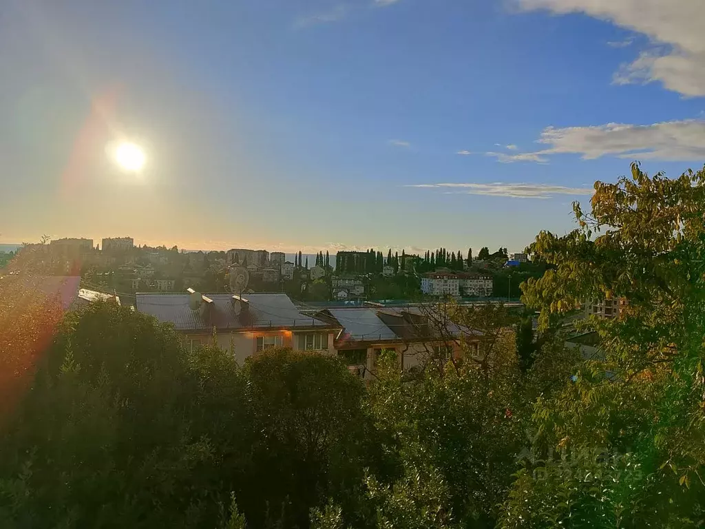 1-к кв. Краснодарский край, Сочи Донская мкр, ул. Гранатная, 10 (32.0 ... - Фото 1