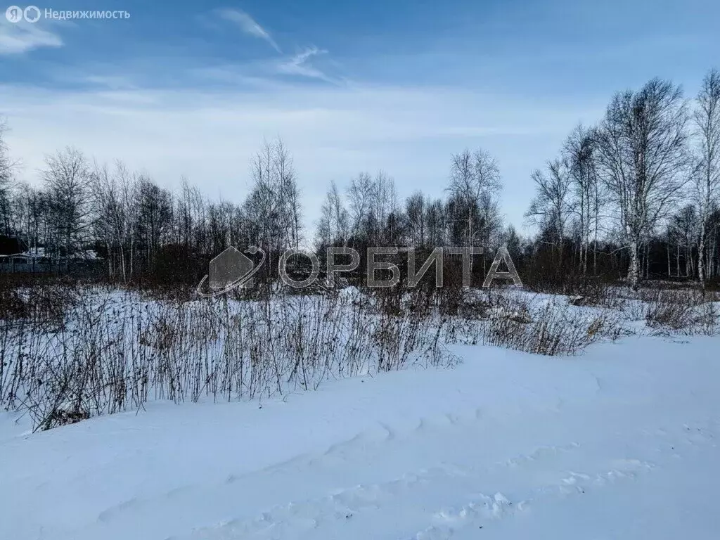 Участок в Нижнетавдинский район, СТ Фортуна, 2-я улица (10 м) - Фото 0