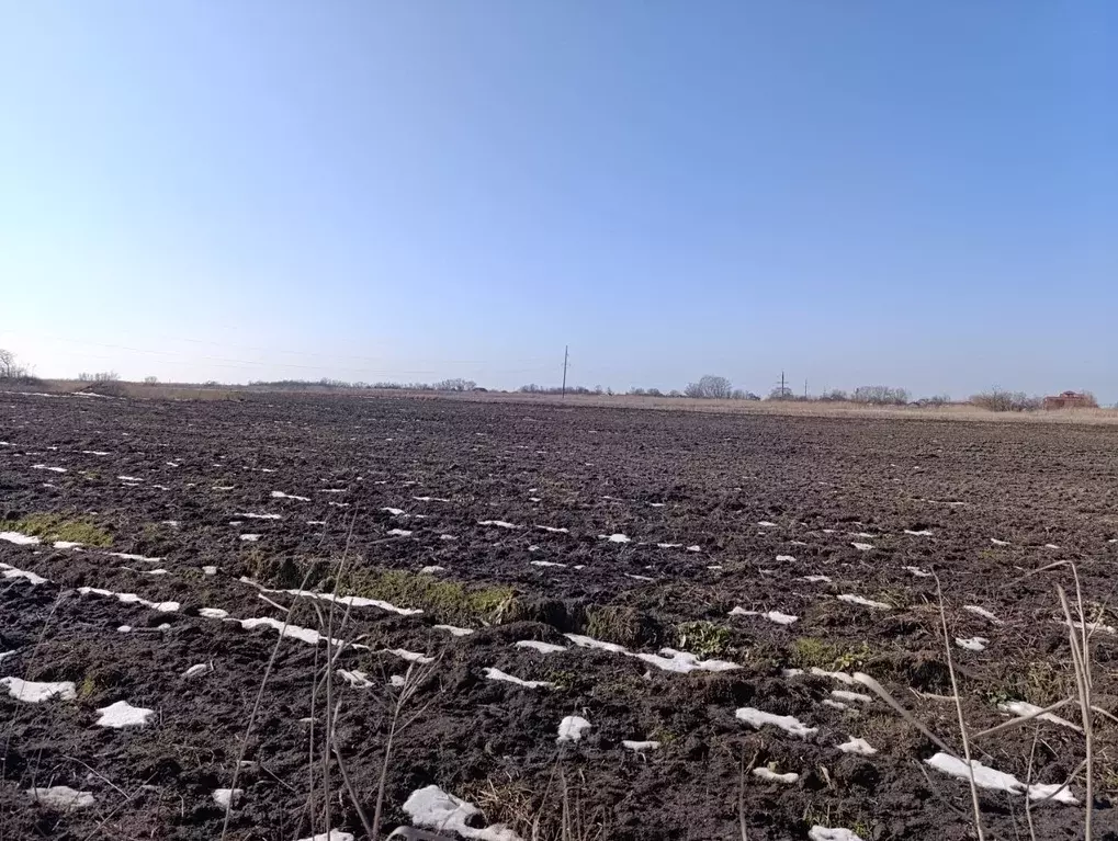 Участок в Краснодарский край, Славянский район, Голубая Нива с/пос  ... - Фото 1