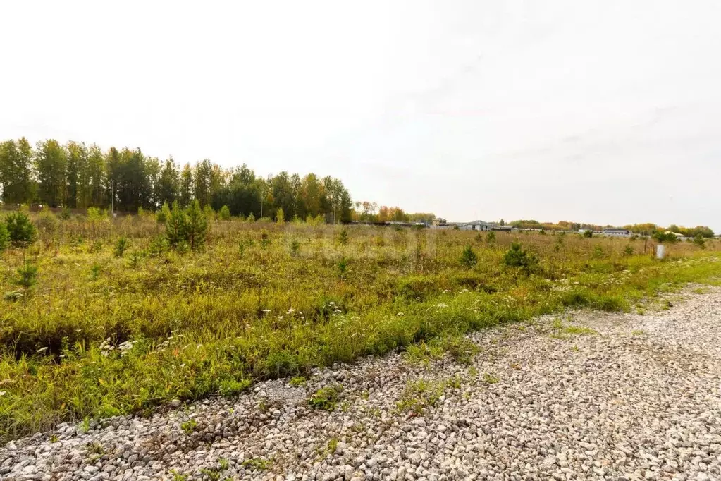 Участок в Тюменская область, Тюменский район, Новокаменский кп  (12.47 ... - Фото 0