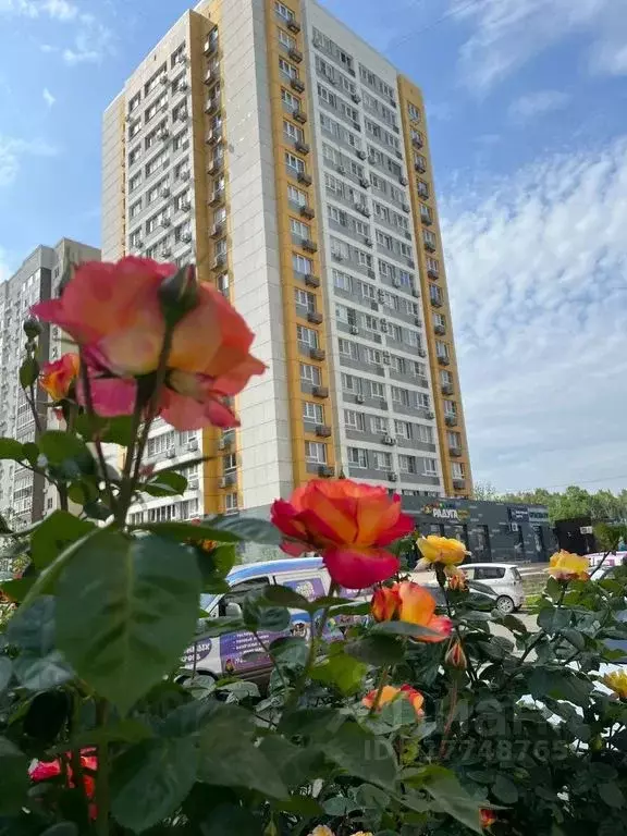 1-к кв. Краснодарский край, Новороссийск ул. Бориса Пупко, 1 (50.0 м) - Фото 0