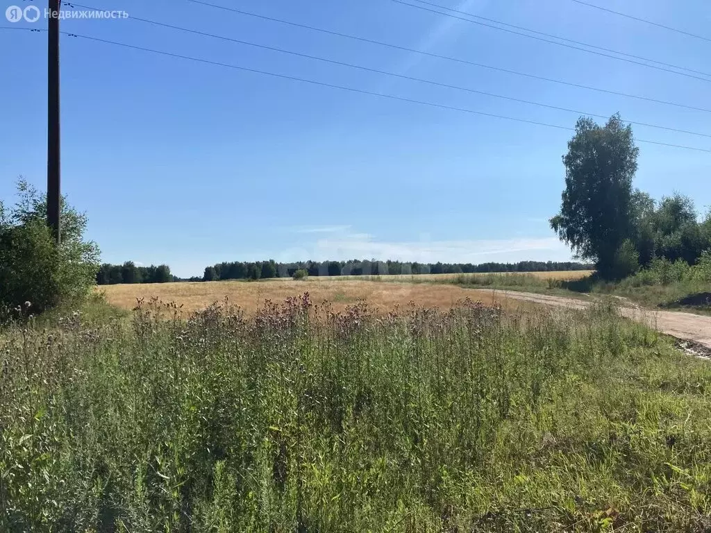 Участок в Красносельский район, Чапаевское сельское поселение, деревня ... - Фото 2