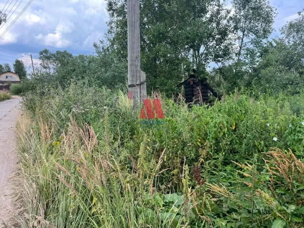 Участок в Ярославская область, Ярославский муниципальный округ, с. ... - Фото 2
